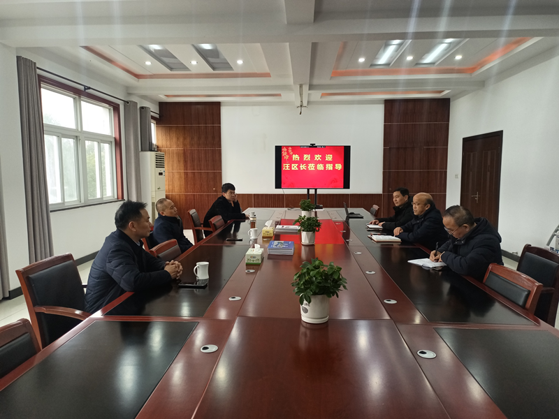 迎江區政府區長汪世平蒞臨我司開展聚力促發(fā)展新春走訪活動